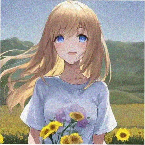 追剧小达人